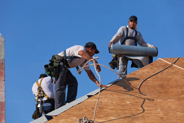 Best Flat Roof Repair Services  in Preston Heights, IL