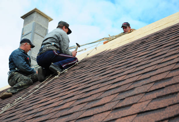 Roof Waterproofing Services in Preston Heights, IL